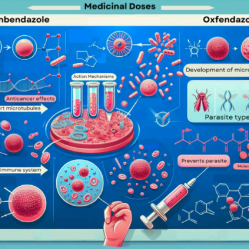 An Evaluation of the Therapeutic Applications of Oxfendazole and Fenbendazole